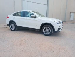 
										BMW X4 xDrive 20d lleno									
